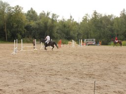 img_9640_web